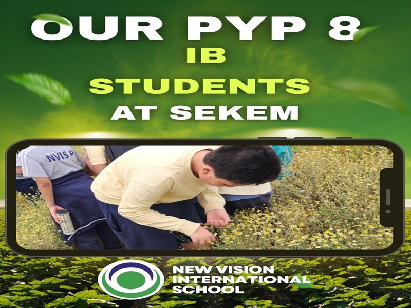 New Vision international School