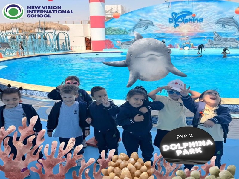 New Vision international School