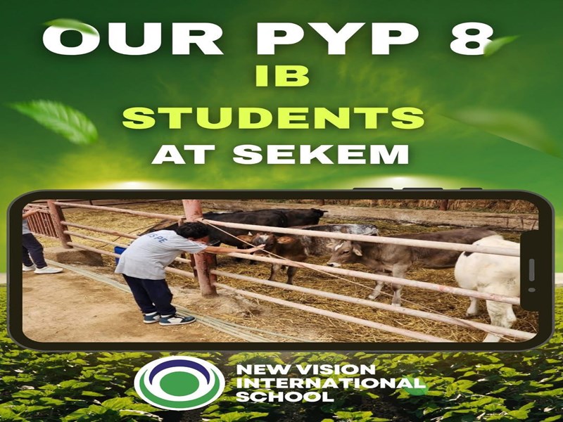 New Vision international School