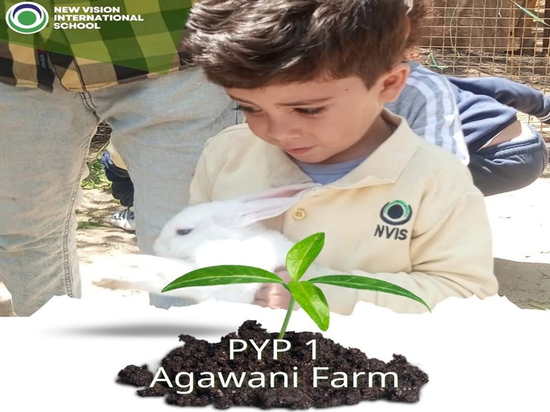 New Vision international School