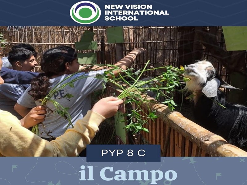 New Vision international School