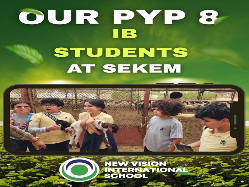 New Vision international School